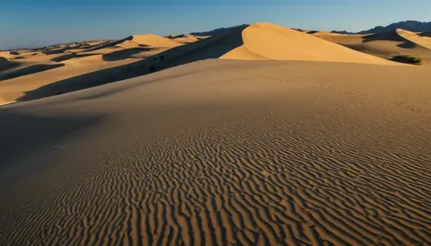 Golden sand dunes with rippled textures under a clear blue sky with distant mountains