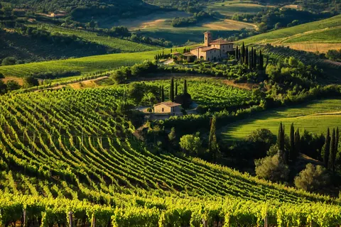 Terraced vineyards on rolling hills with stone buildings and cypress trees bathed in golden sunlight.