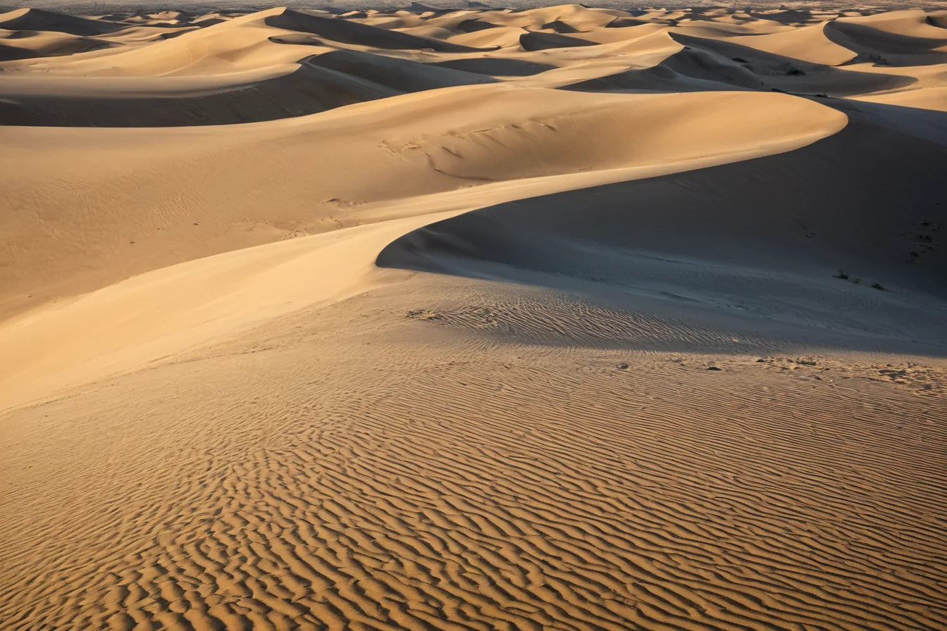 Wavy golden sand dunes with rippled textures under warm sunlight in a vast desert landscape.