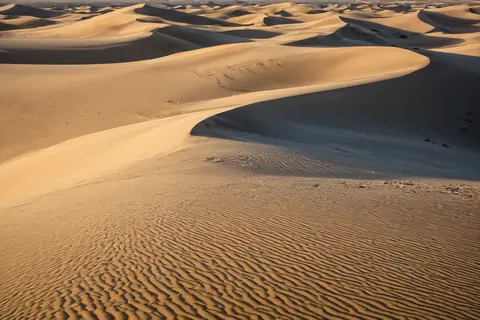 Wavy golden sand dunes with rippled textures under warm sunlight in a vast desert landscape.